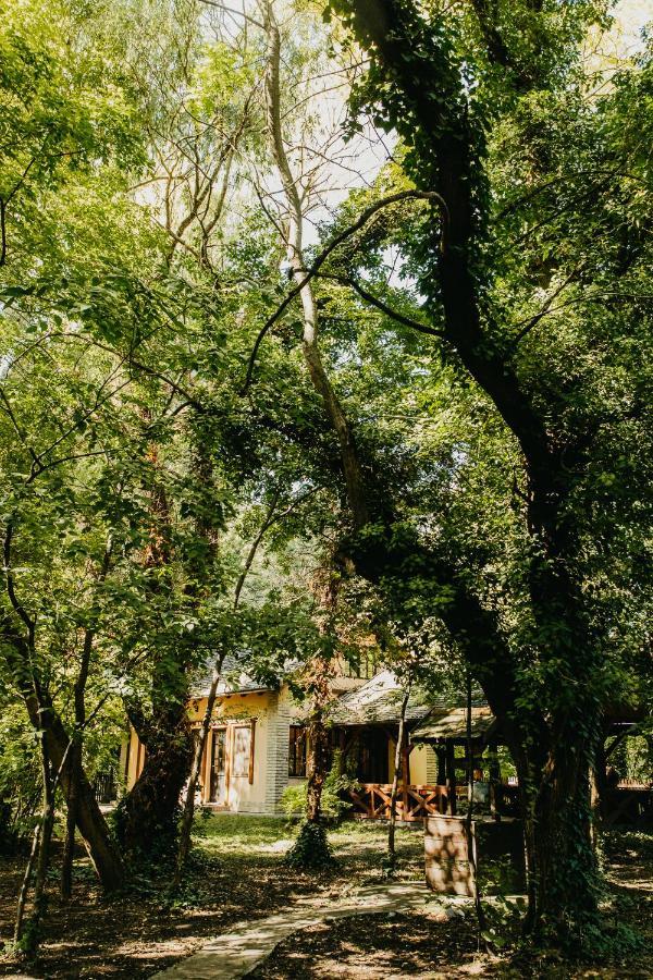 Forest House Palic Exterior photo